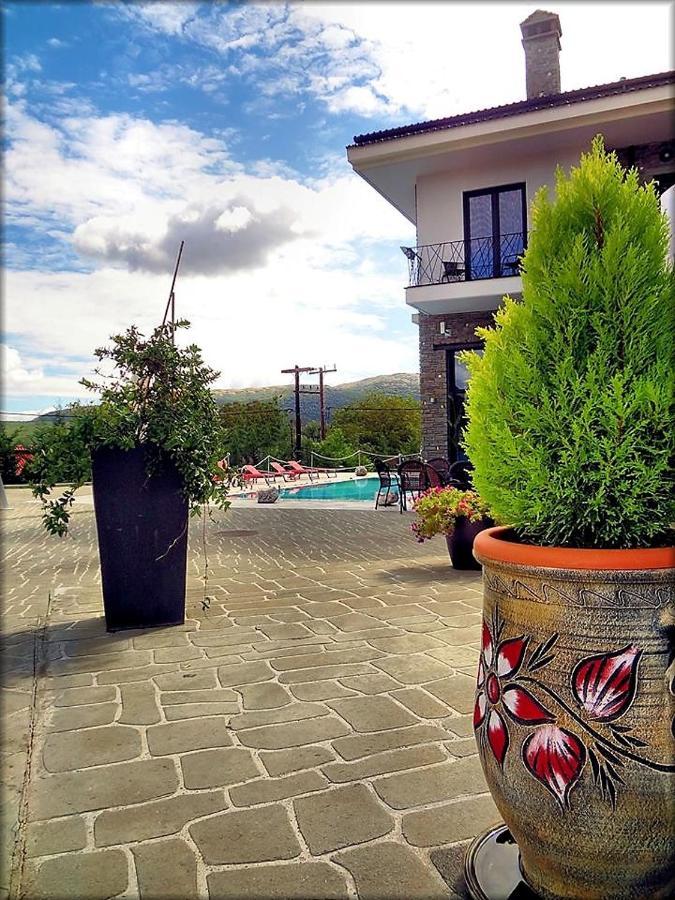 Prytaneio Design Hotel Dodoni エクステリア 写真